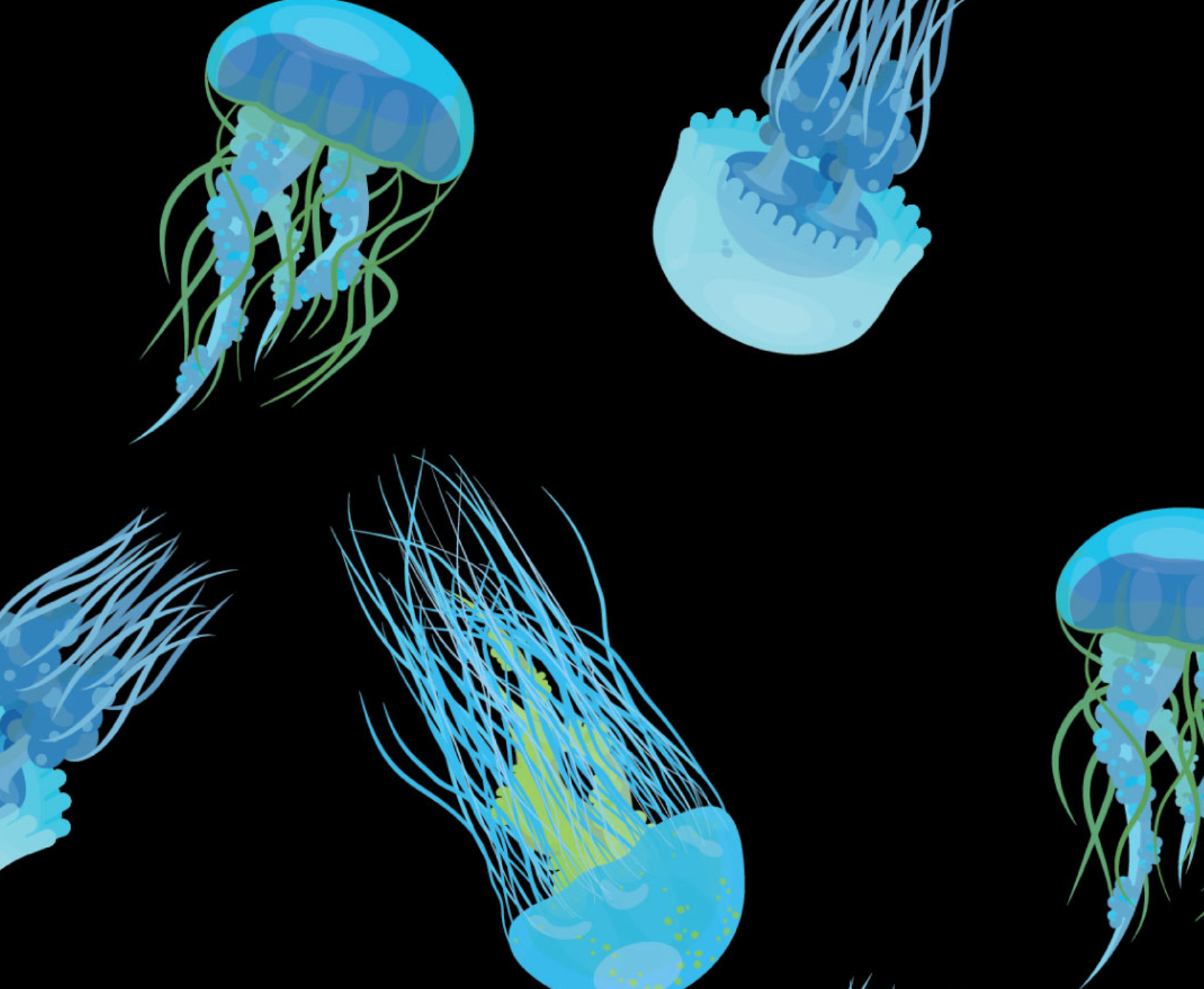 Jelly Fish Print