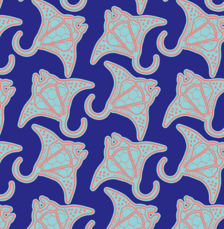 Magic Manta Rays