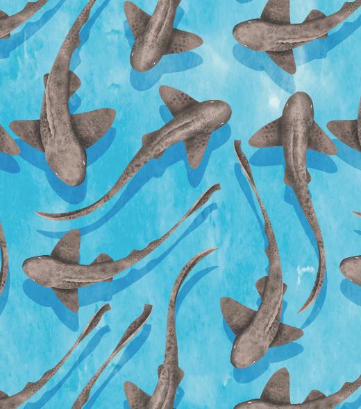 Shark Print