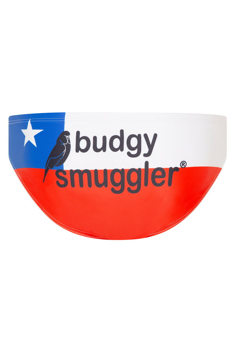 Chilean Flag