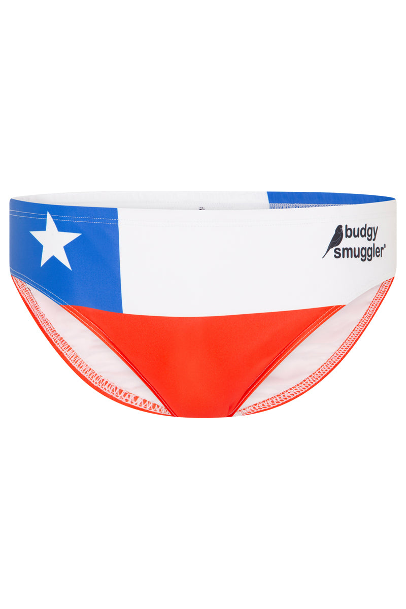 Chilean Flag