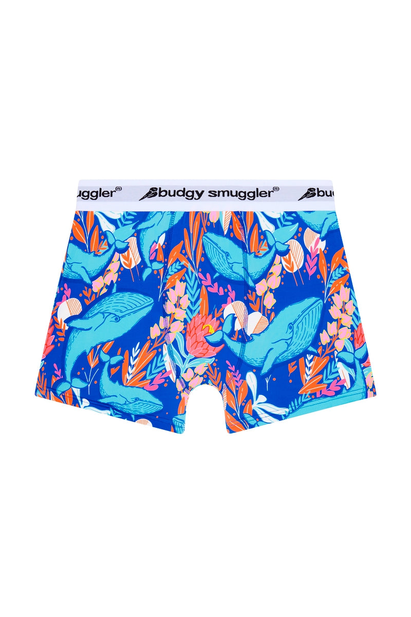 Premium Printed Underwear in Blue Whale