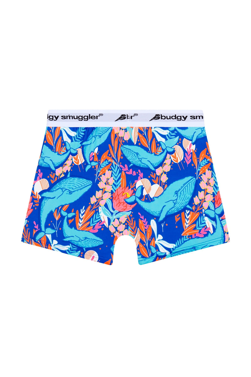 Premium Printed Underwear in Blue Whale