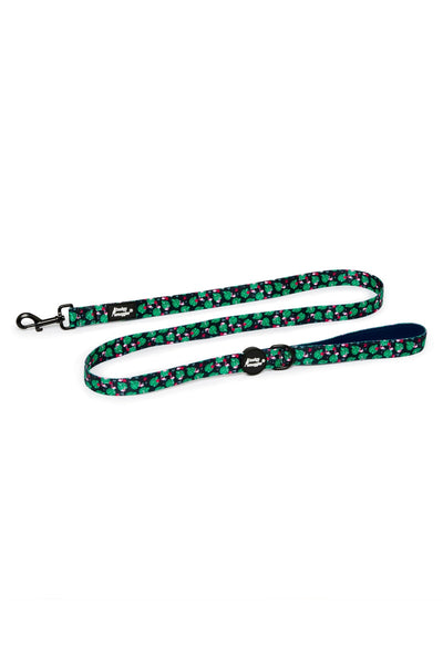 Pet Leash in Flamingoes