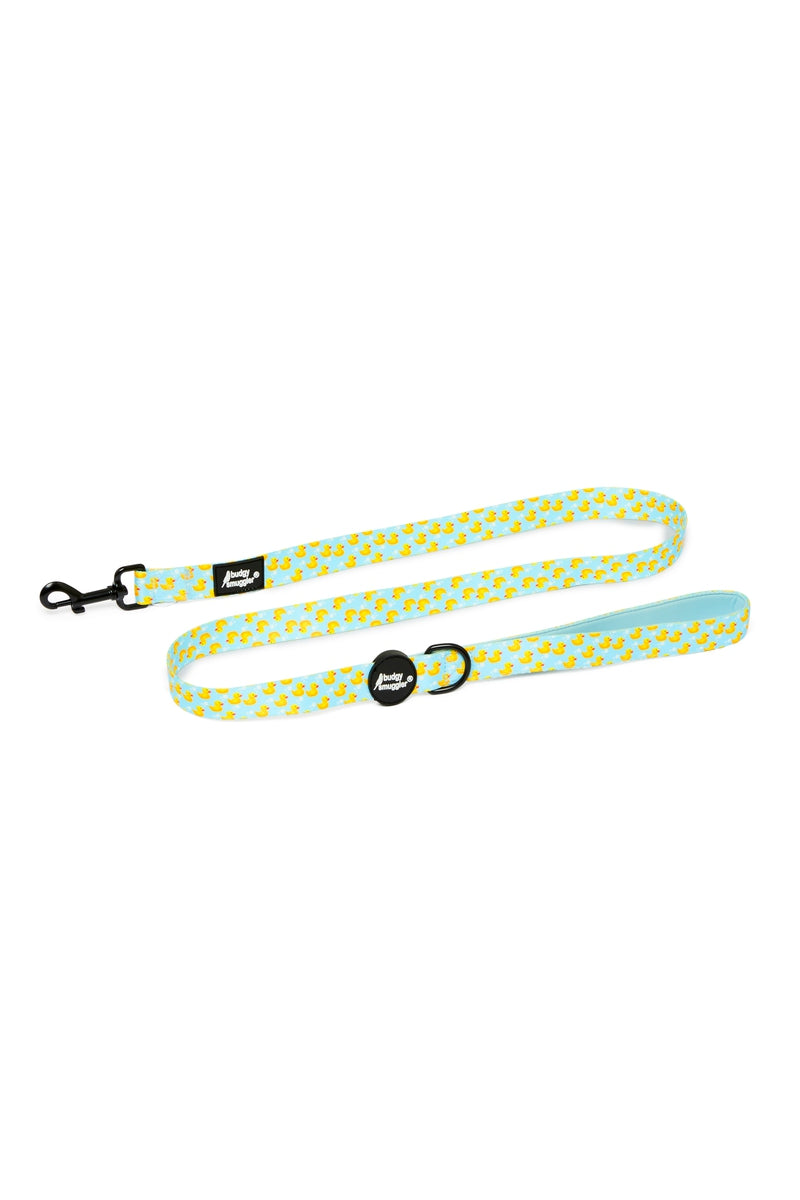 Pet Leash in Rubber Ducks