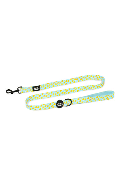 Pet Leash in Rubber Ducks