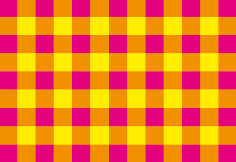 Fluro Gingham Print