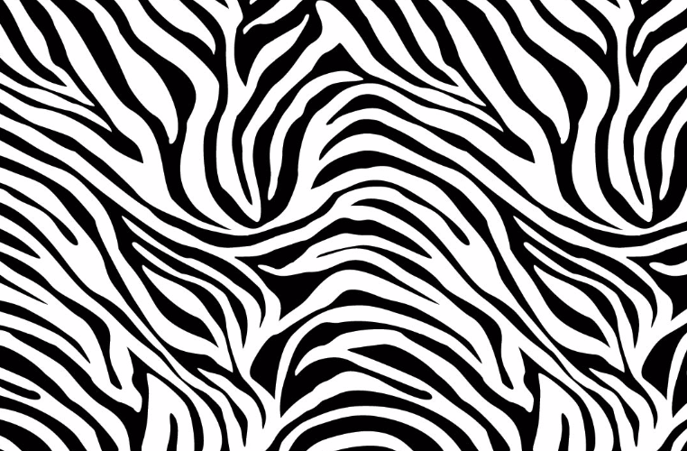 ZEBRA PRINT