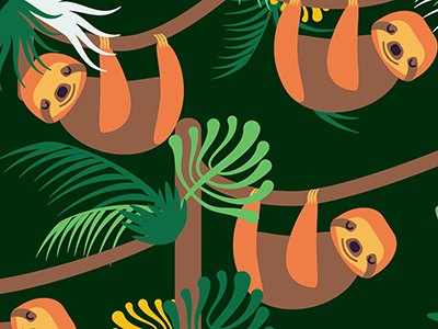 Sloth Print