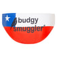 Chilean Flag