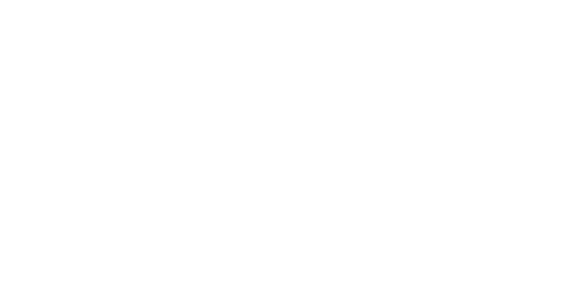 Budgy Smuggler UK