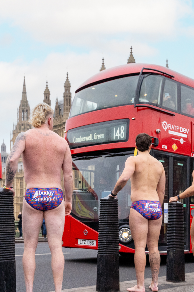 Transport for London Purple Buses