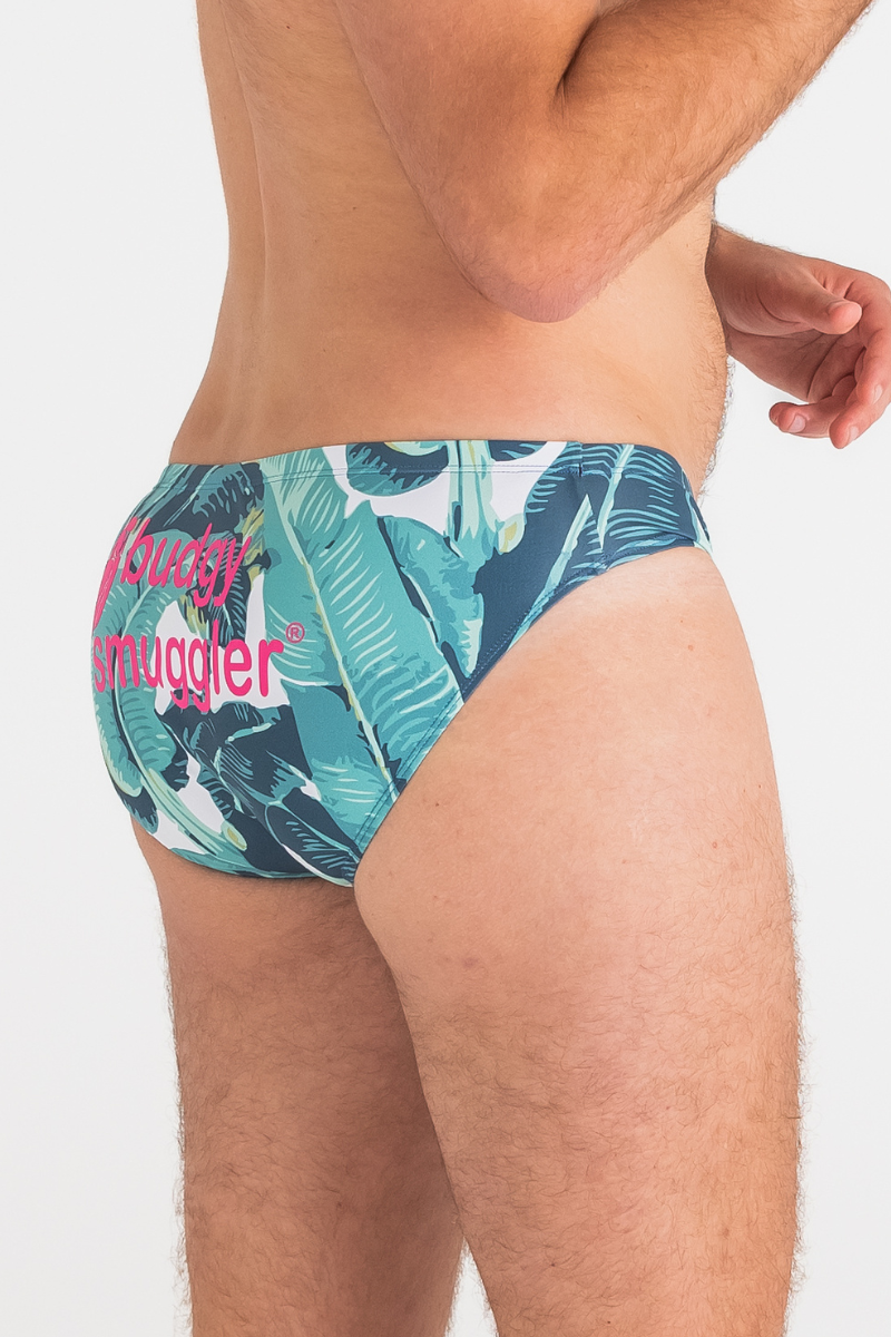 Mens Swimwear Beverly Hills Palms Design Budgy Smuggler Uk Budgy Smuggler UK
