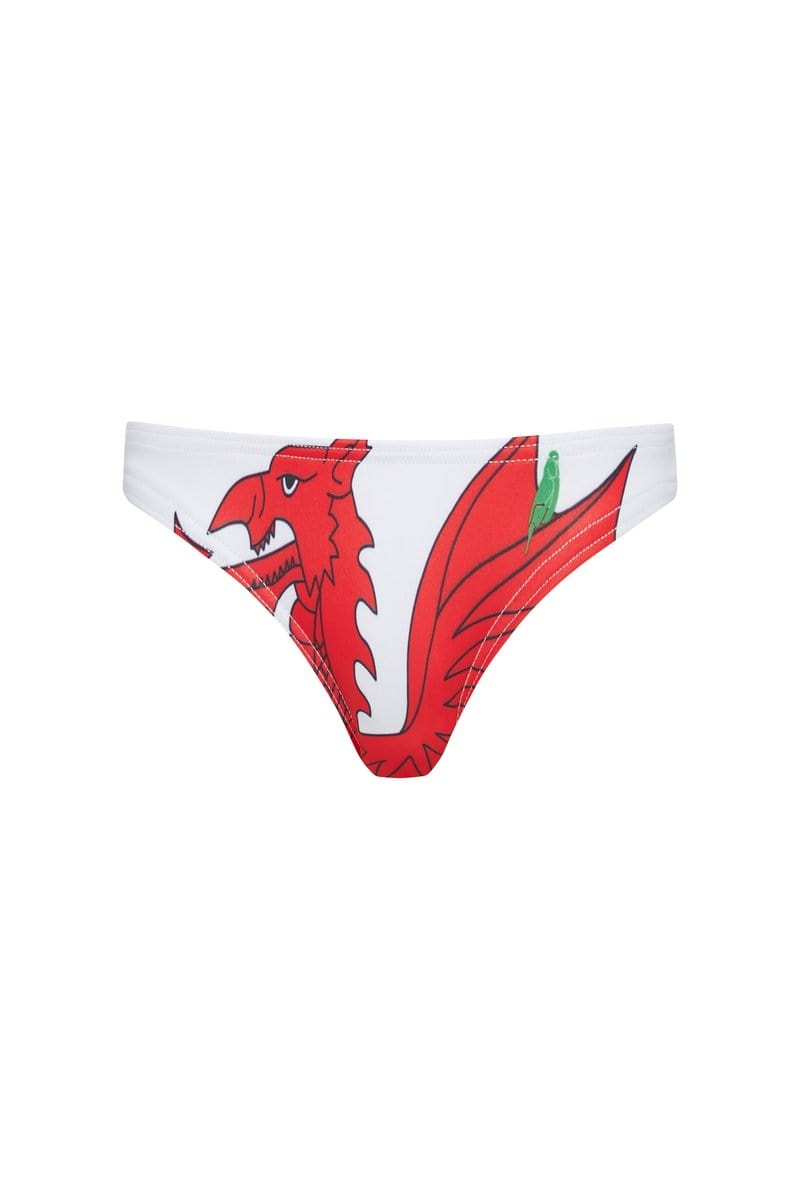 Shelly Bottoms in Welsh Flag